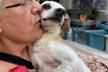 BIANCA Animal Shelter