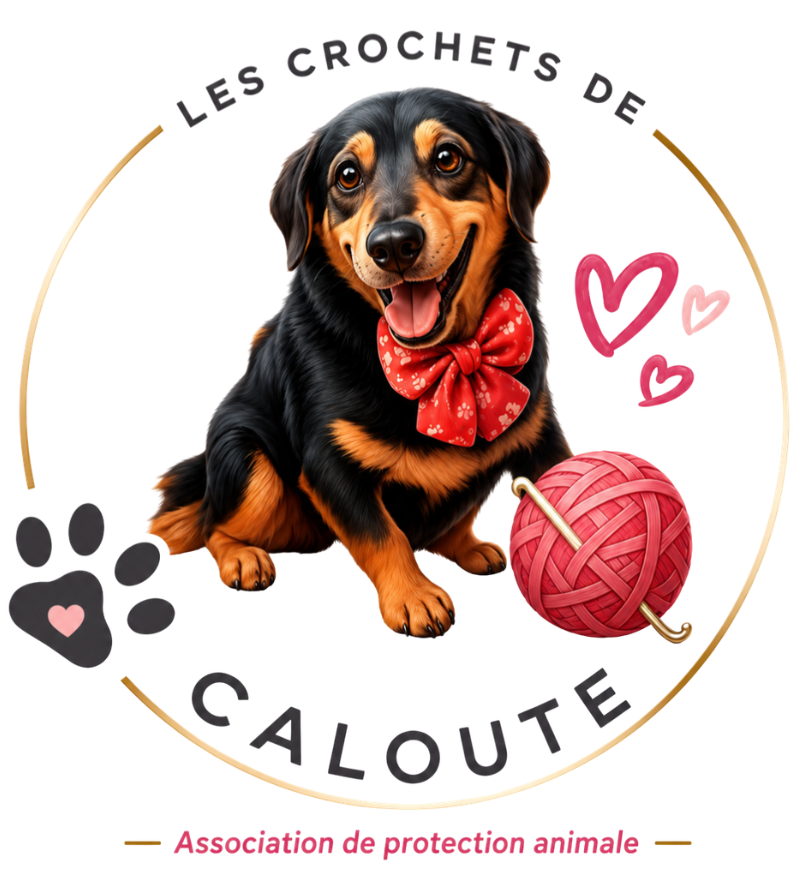 Les crochets de Caloute