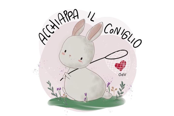 Acchiappa il coniglio odv