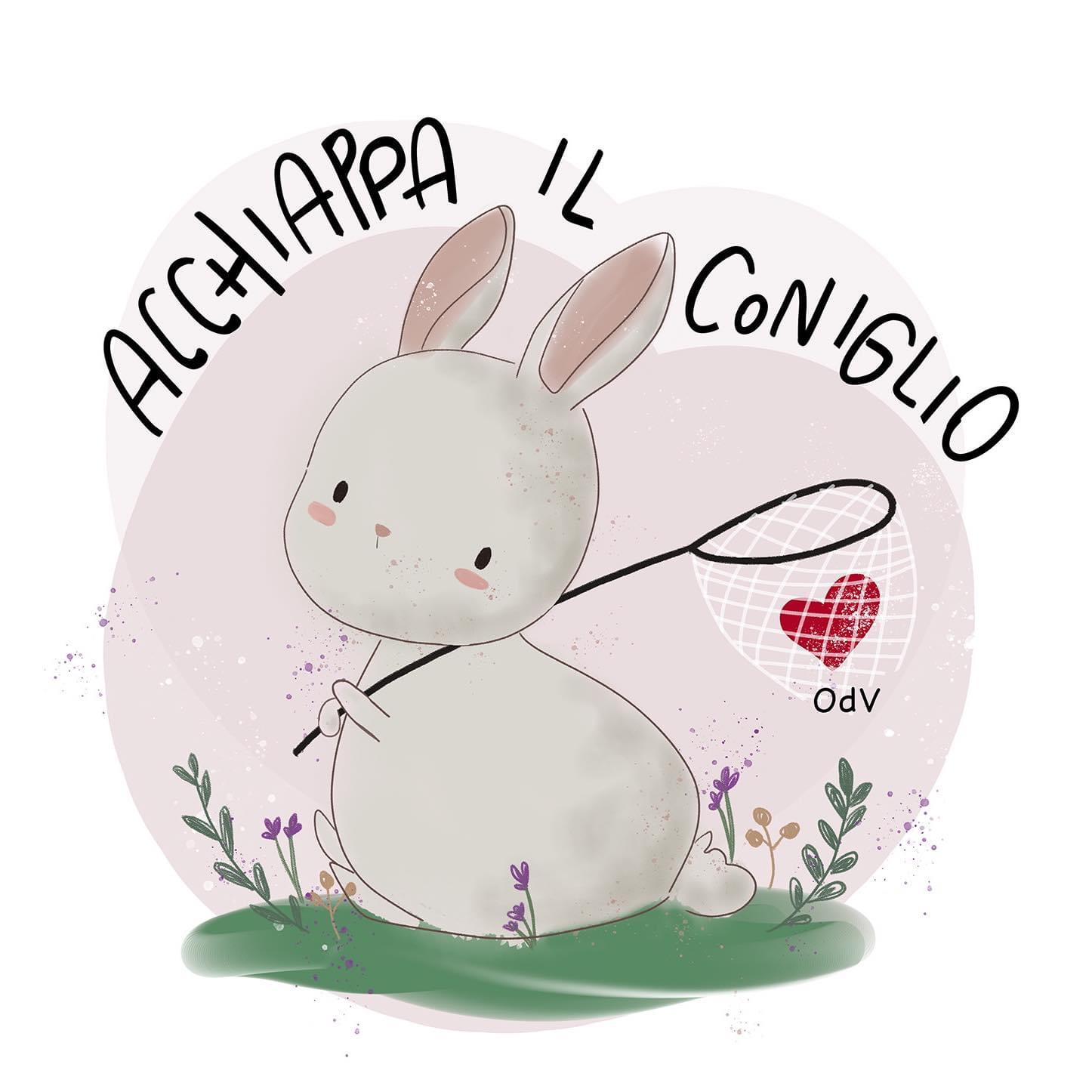 Acchiappa il coniglio odv