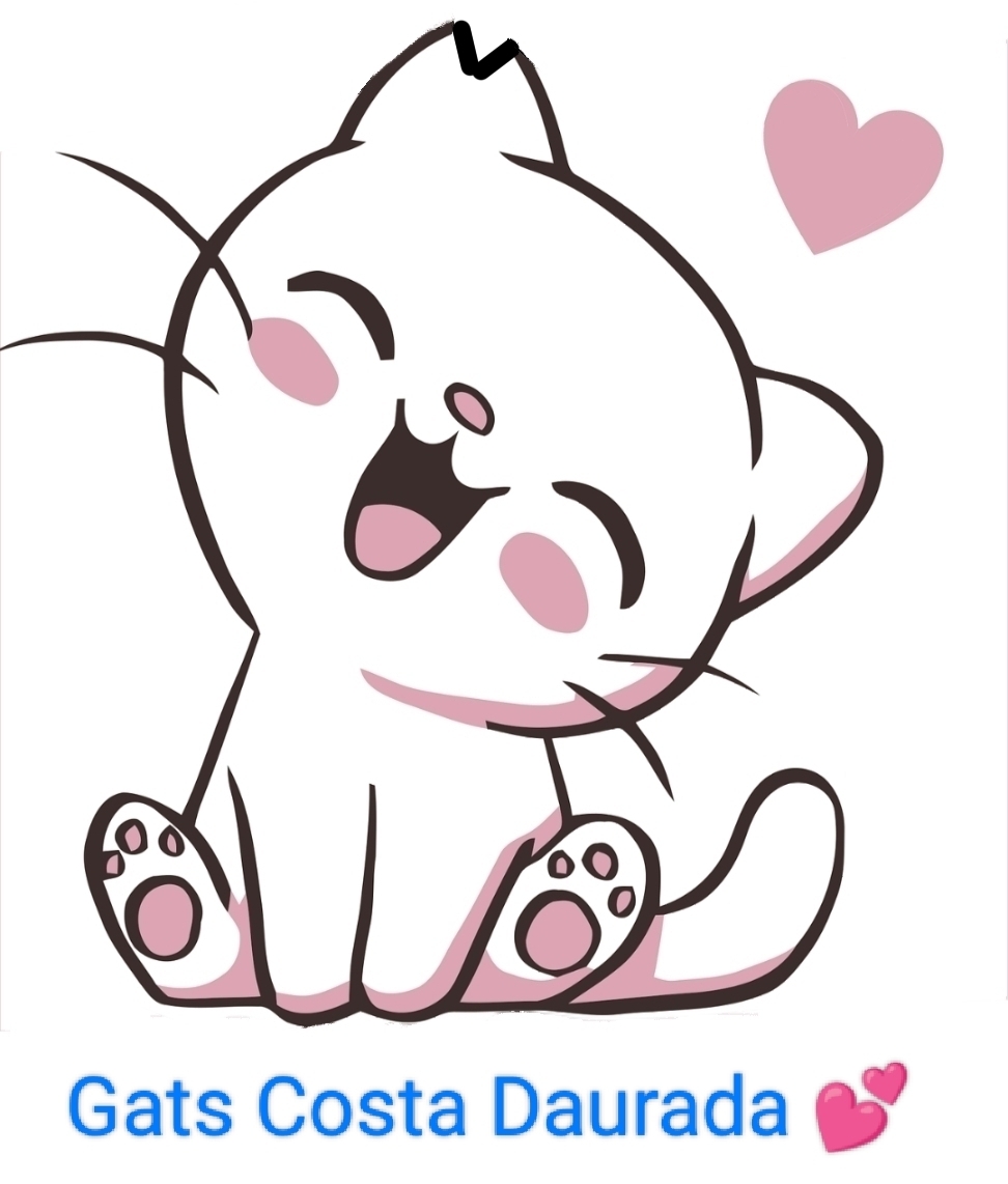 Gats Costa Daurada