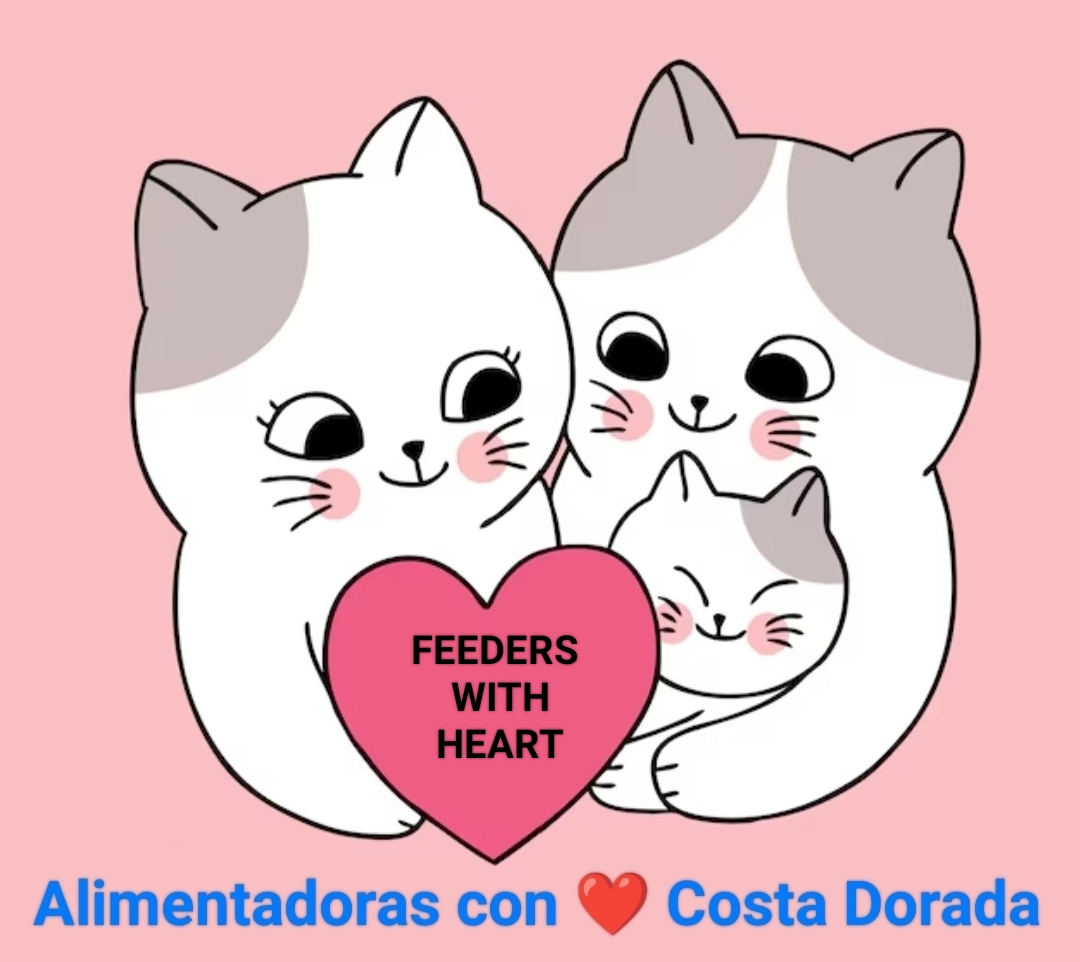 Alimentadoras con ❤️ Costa Dorada