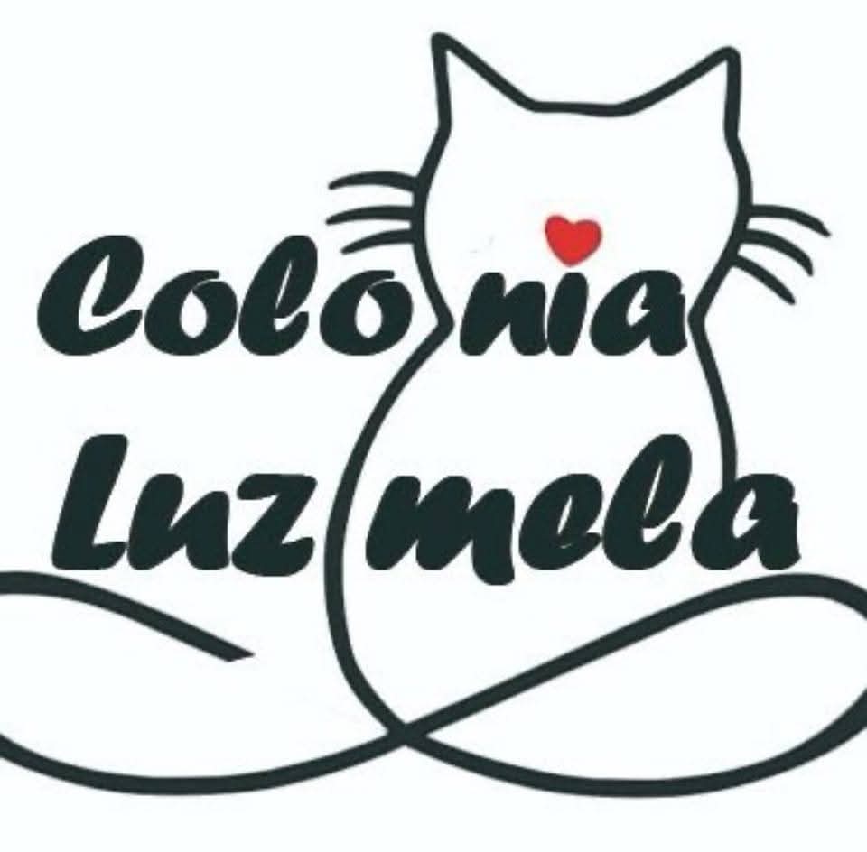 Colonia de gatos Luzmela, Los Corrales de Buelna