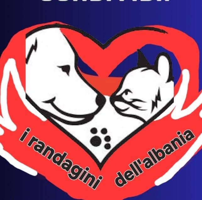 I RANDAGINI DI SELVA E TIZI