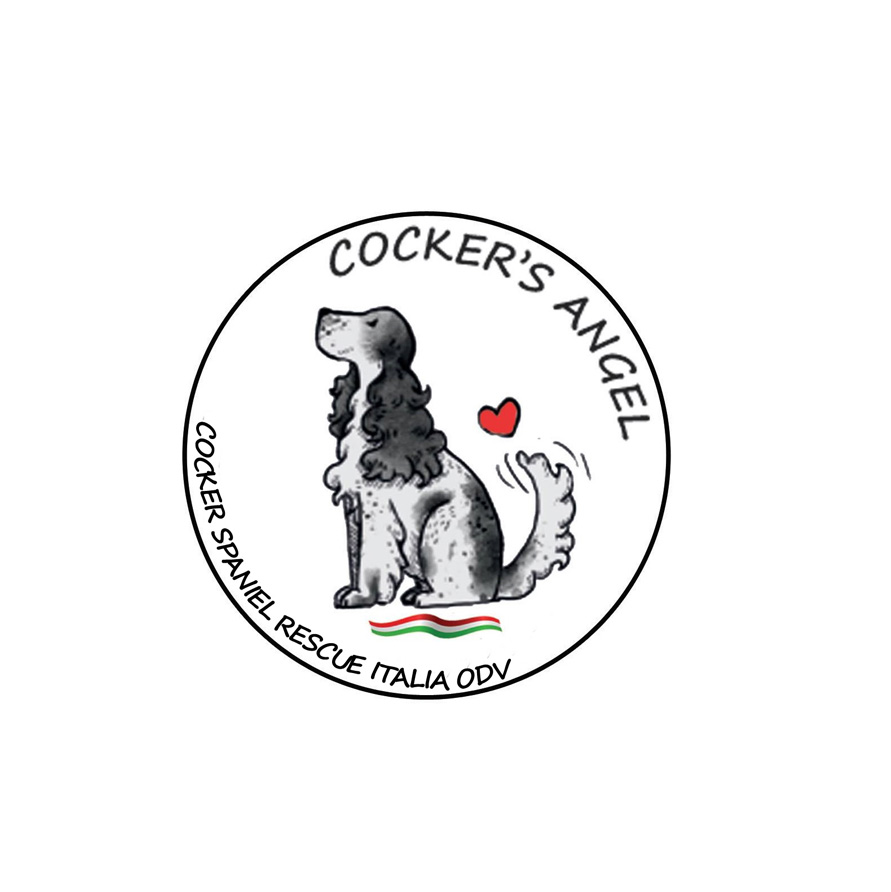 Cocker's Angel - Cocker Spaniel Rescue Italia ODV