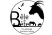 Association BÊLE et BÊTE