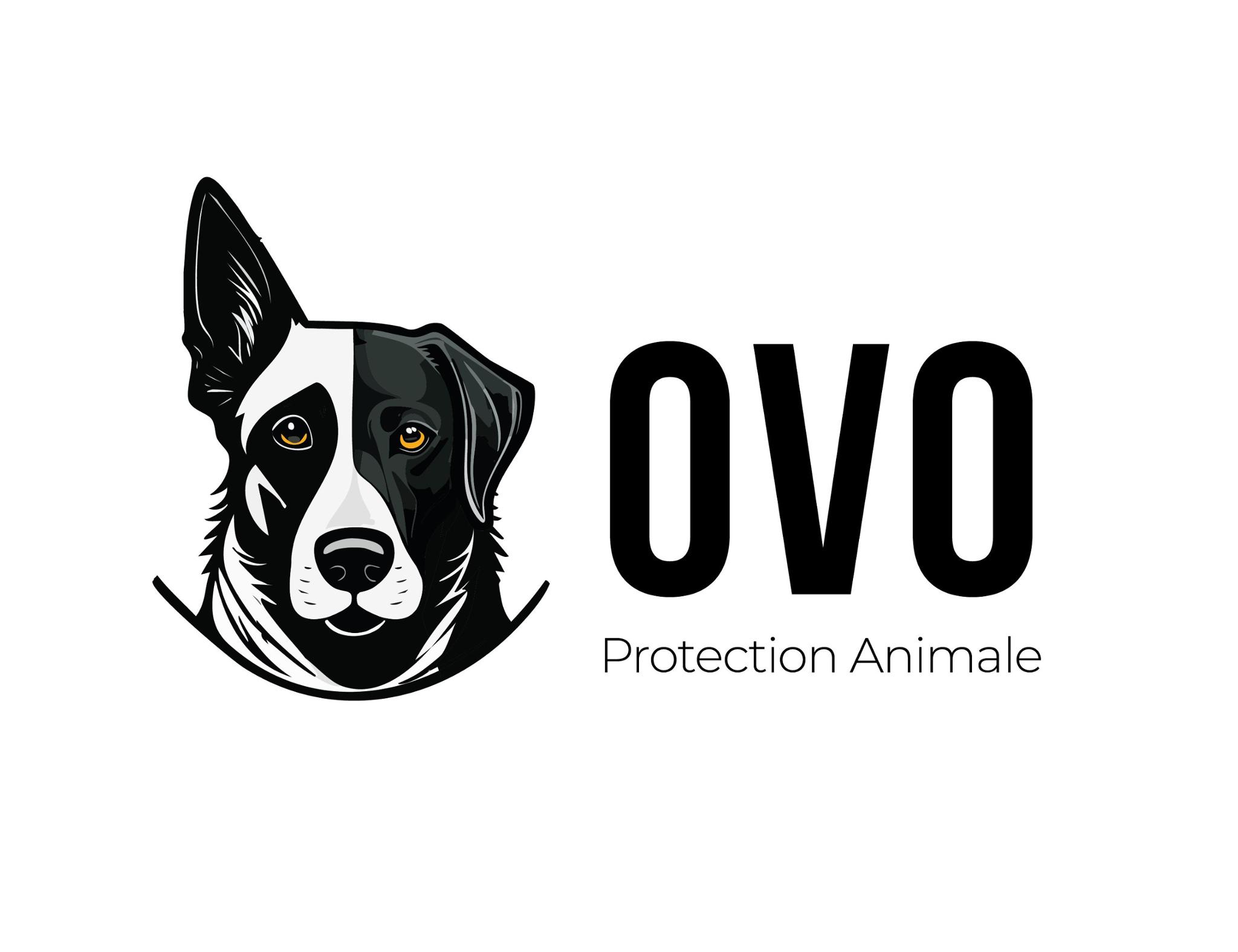 OVO PROTECTION ANIMALE