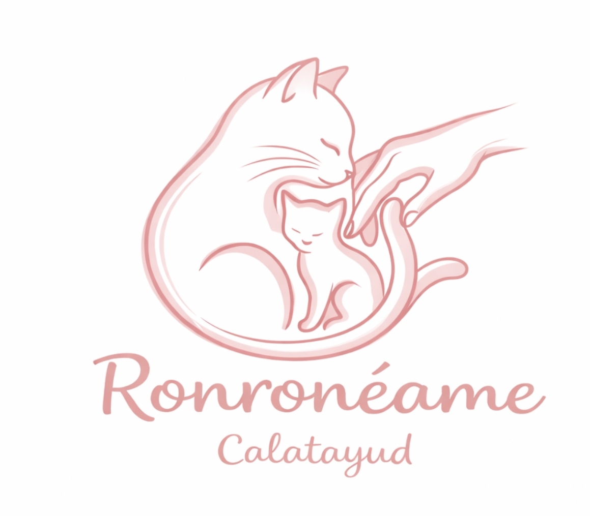 RONRONÉAME
