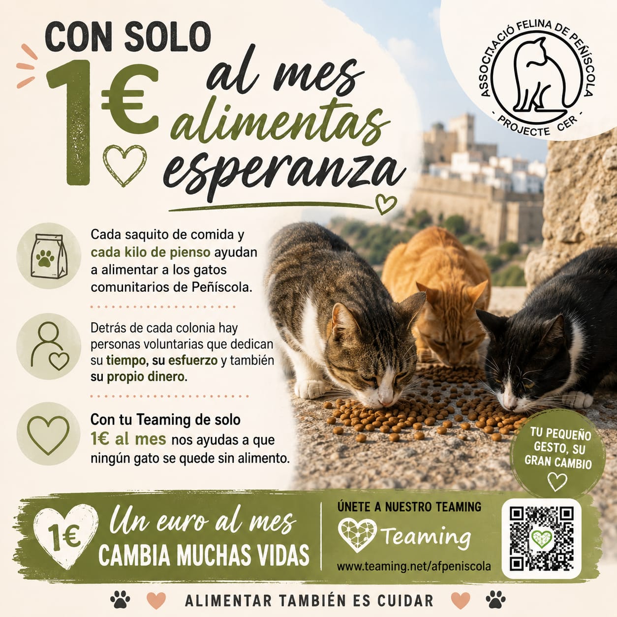 Asociación Felina de Peñíscola