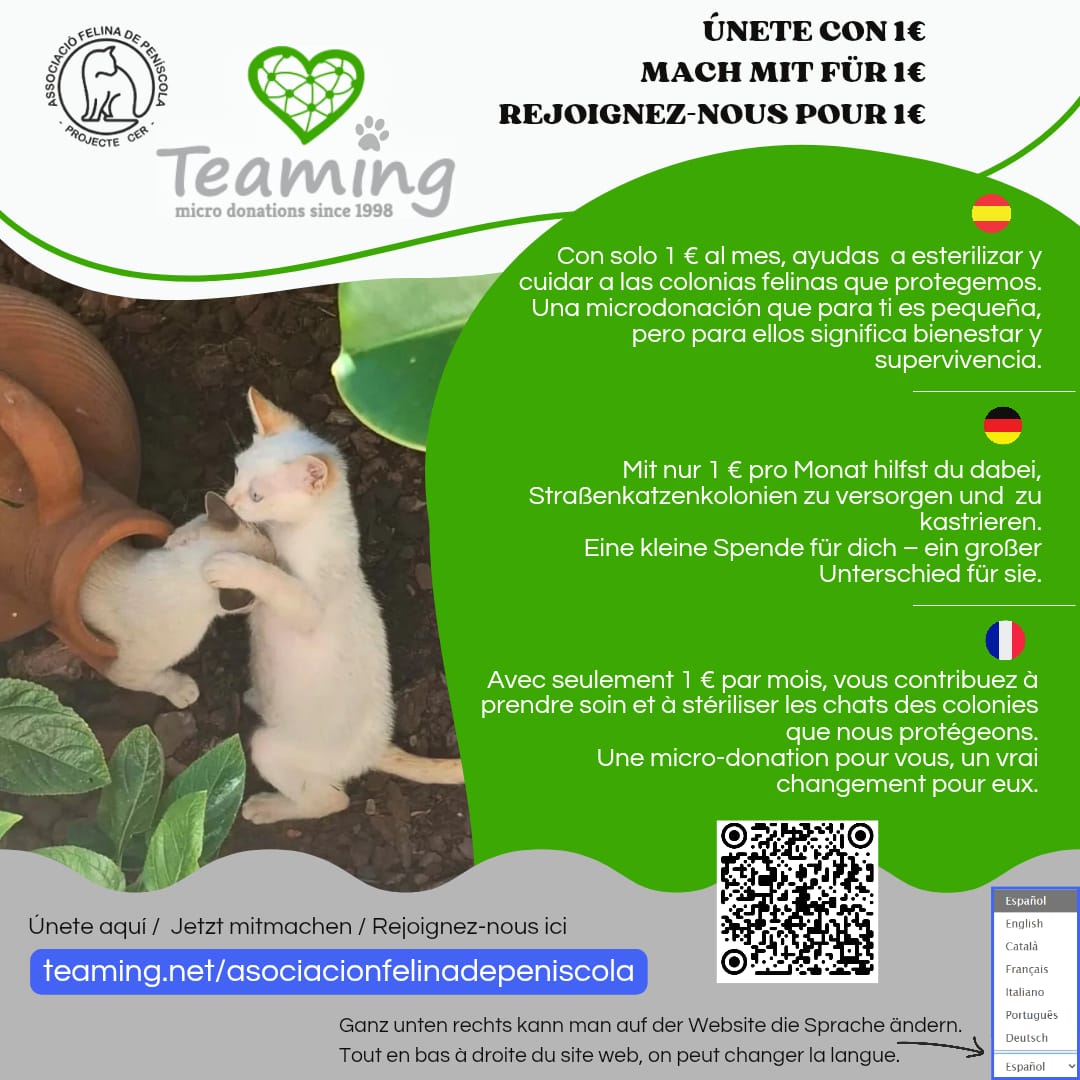 Asociación Felina de Peñíscola