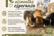 Asociación Felina de Peñíscola