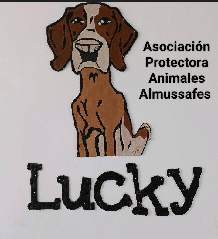 Lucky Asociación Protectora de Animales