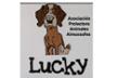 Lucky Asociación Protectora de Animales