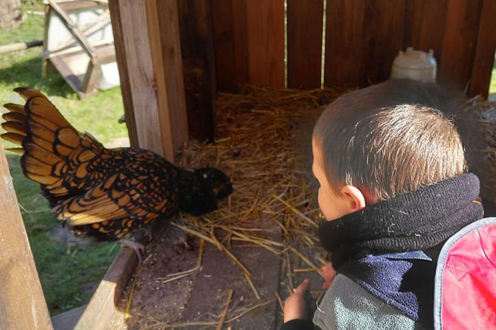 Ferme Omini refuge pédagogique