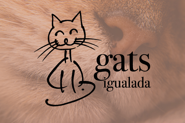 Gats Igualada