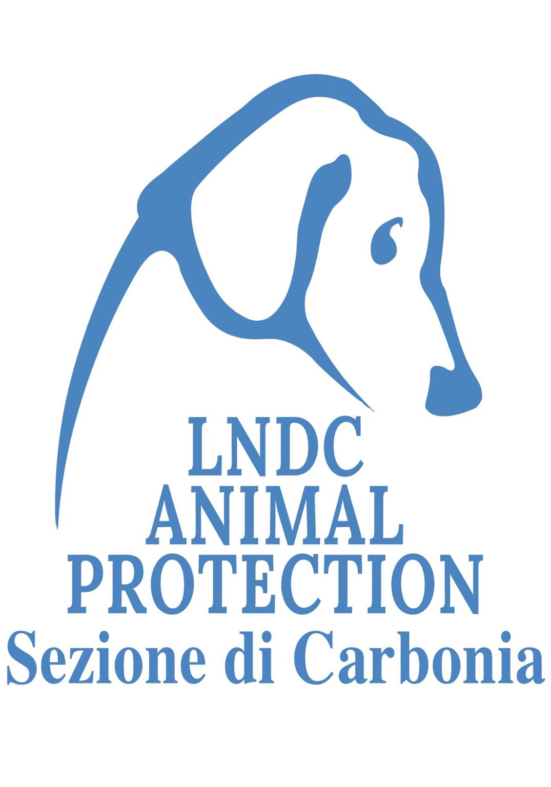 Canile LNDC Carbonia