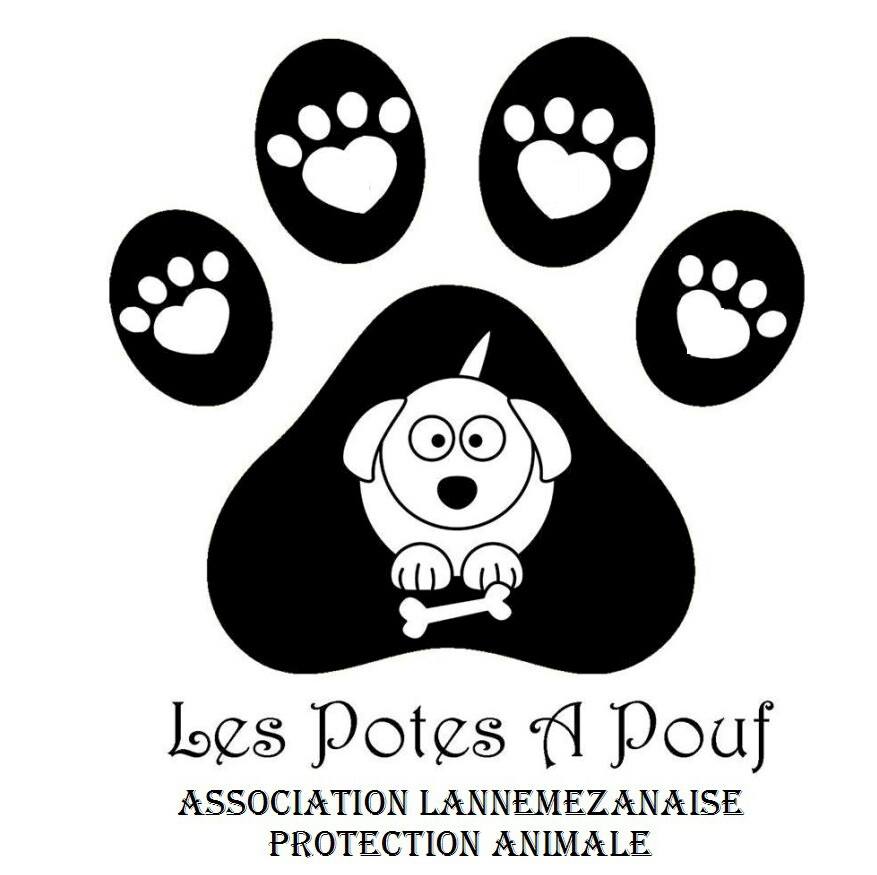 A.L.P.A. Les Potes à Pouf