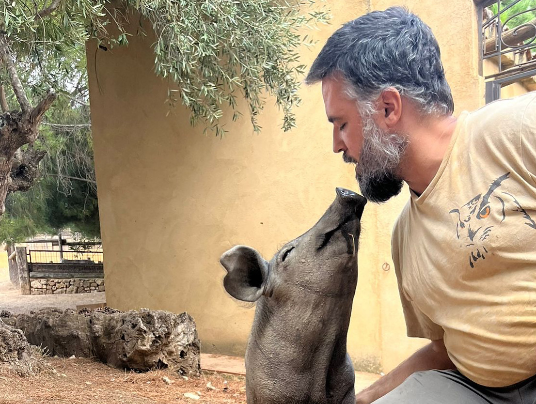 Asociación IAA Mokami