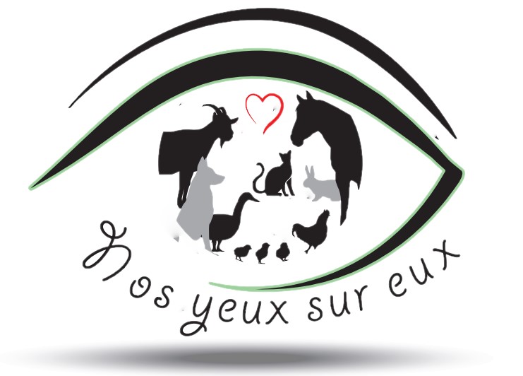 Nos yeux sur eux