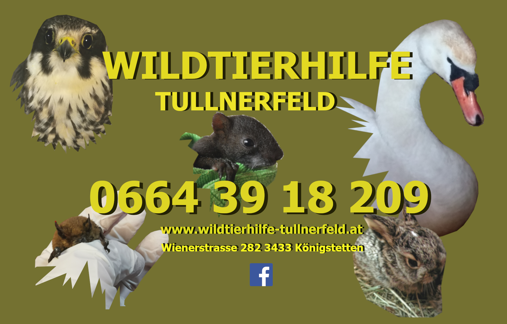 Wildtierhilfe Tullnerfeld