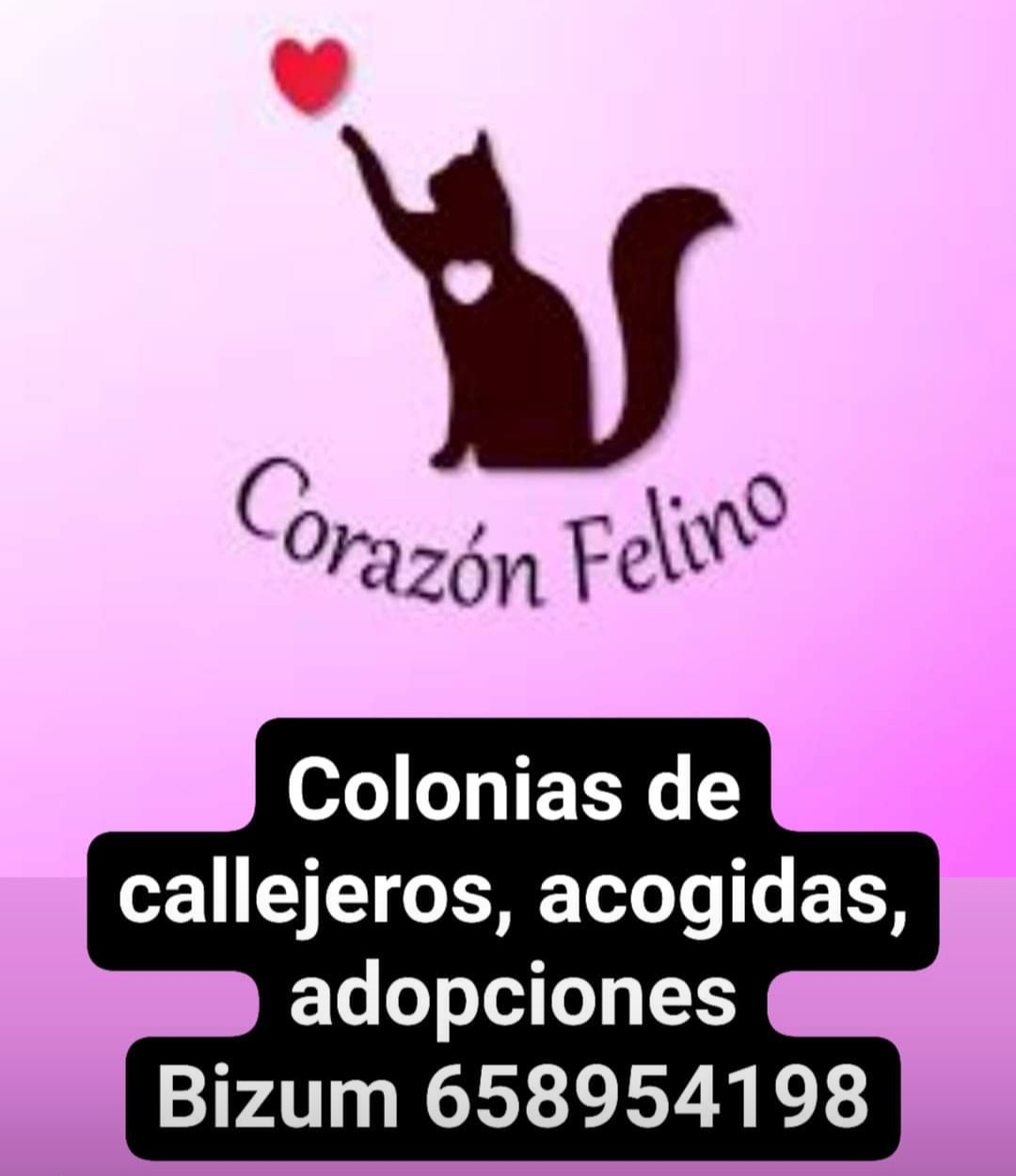 CORAZÓN ❤ FELINO