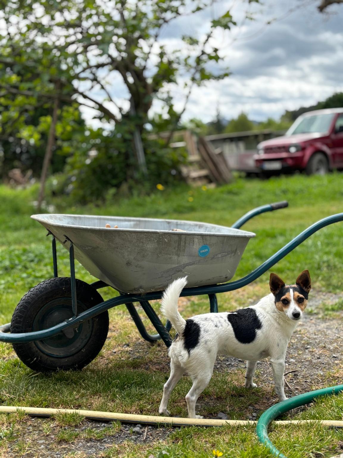 Material para arreglos