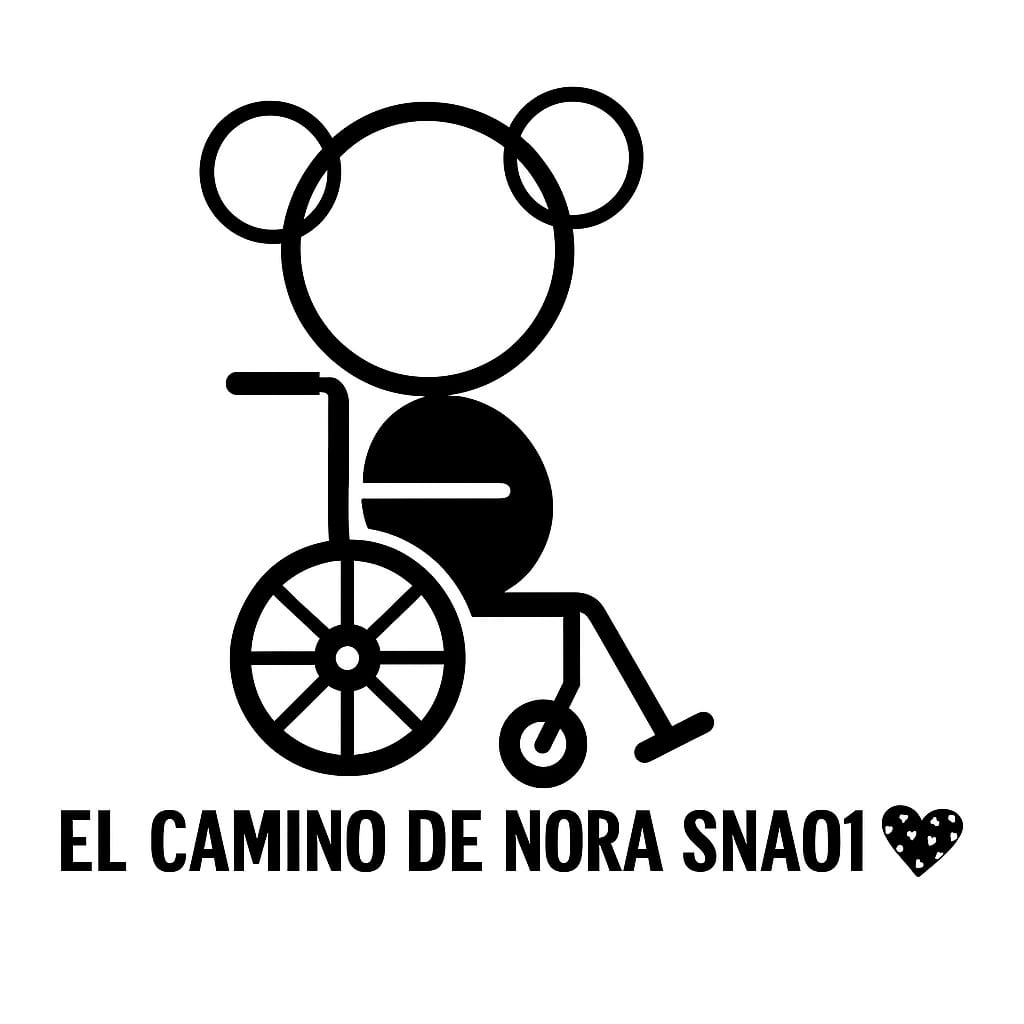 Asociación El Camino De Nora Gnao1