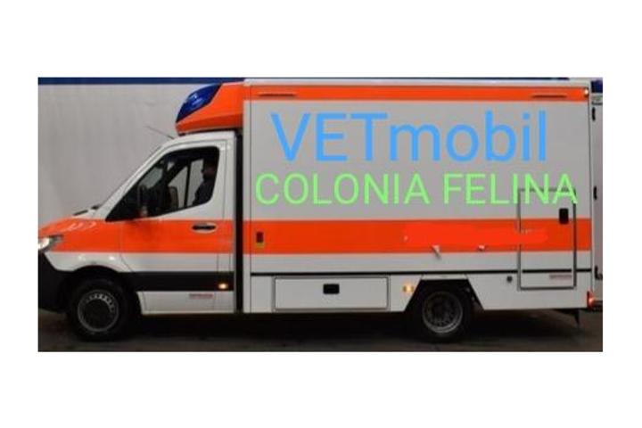 VETmobil Syracuse Sicily