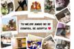Adopta un amigo Almería
