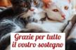 ENPA RUVO DI PUGLIA: SOSTIENI IL NOSTRO MINI GATTILE.