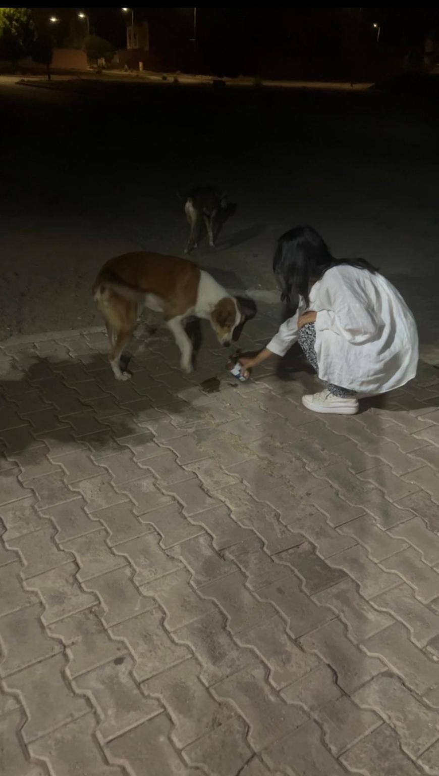 Association Coeurs innocents