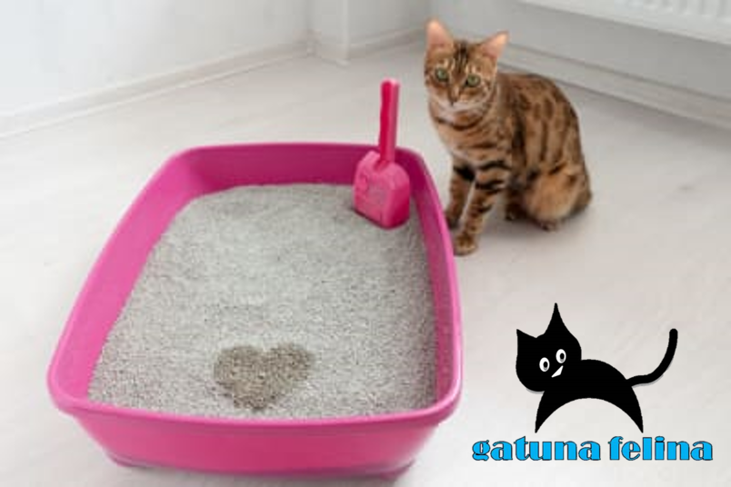 ARENA PARA GATUNA Y FELINA