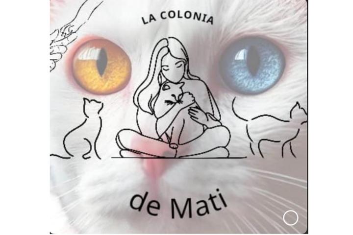 La colonia de Mati