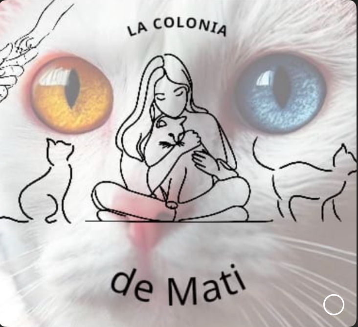 La colonia de Mati