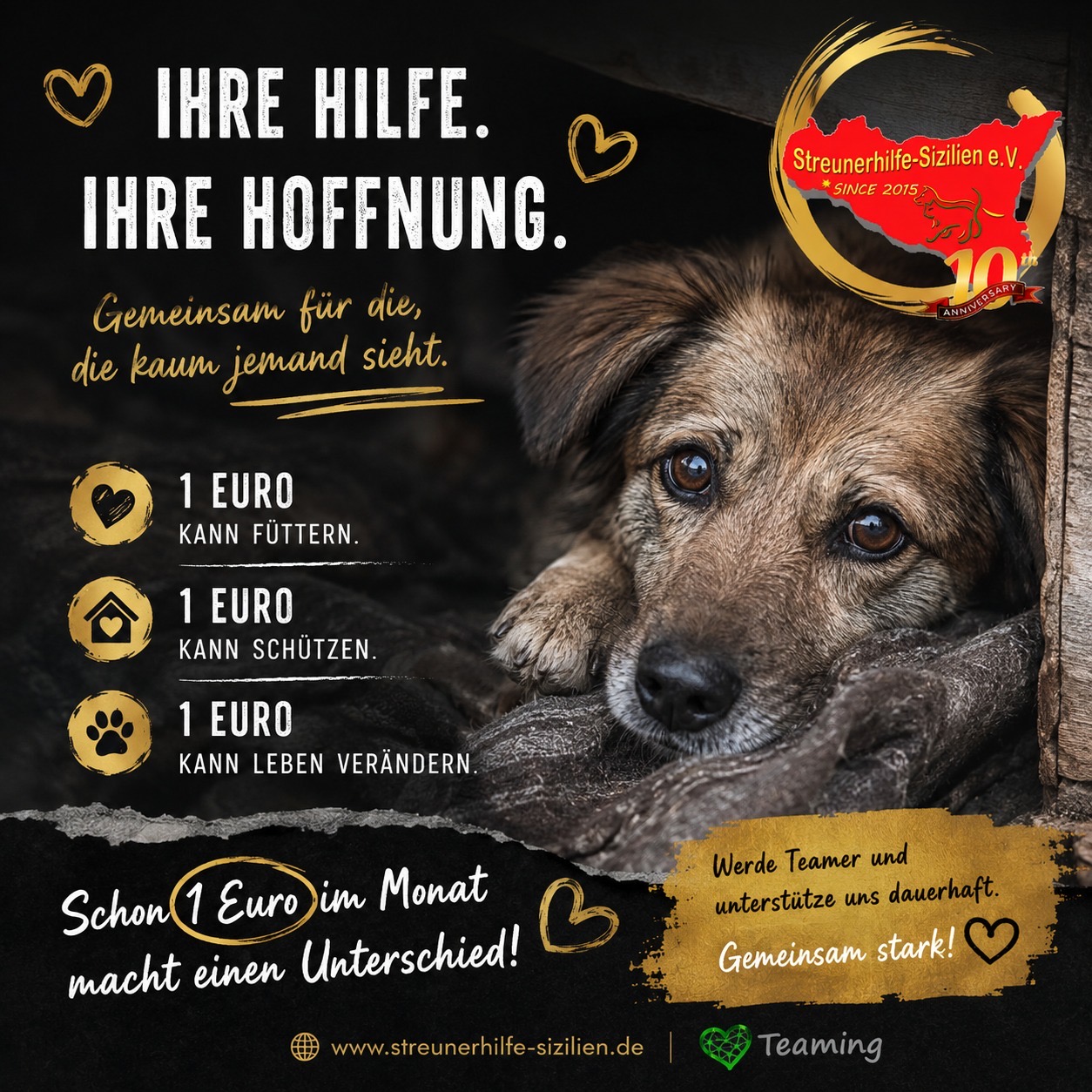 Streunerhilfe-Sizilien e.V. ♡hilf uns mit €1♡