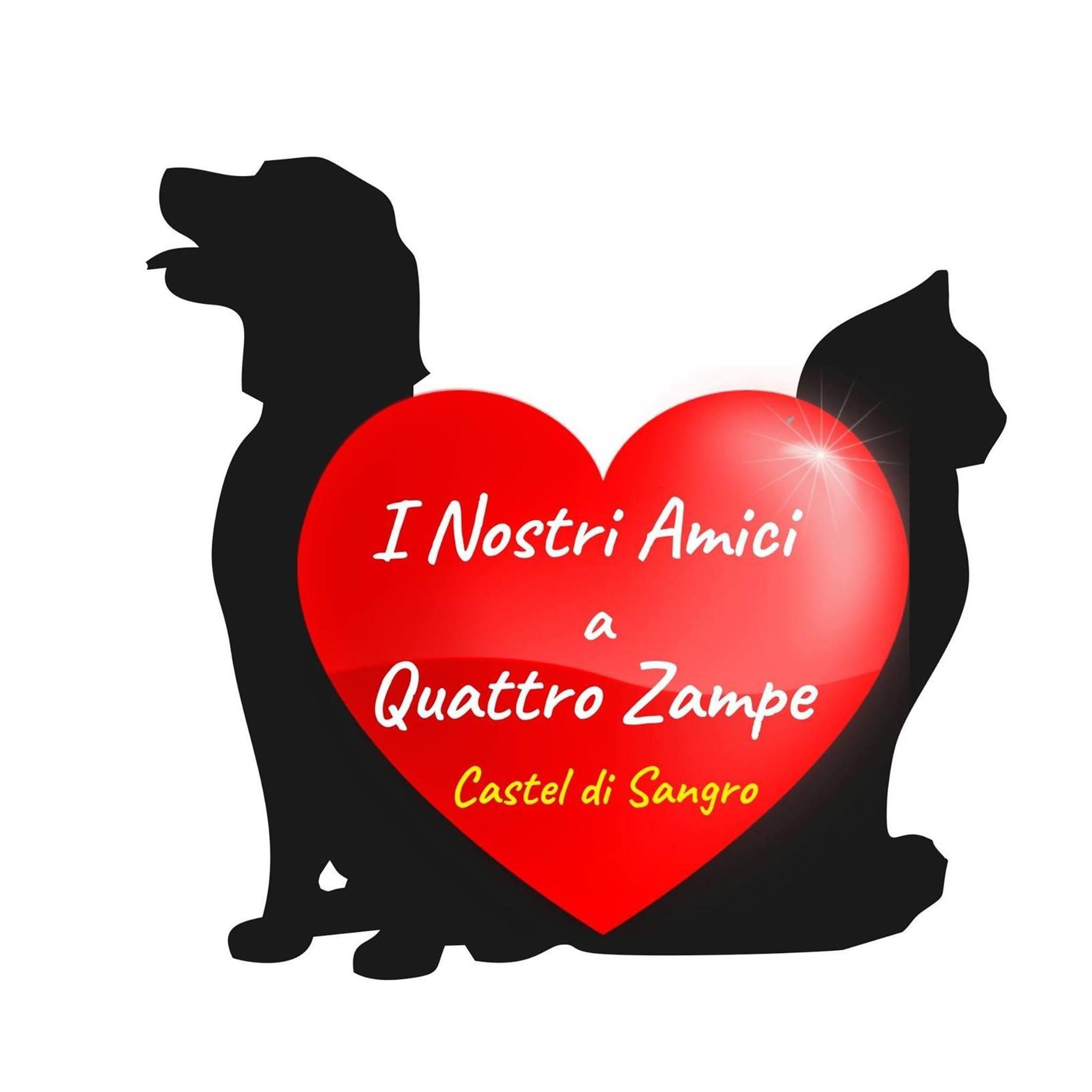 I nostri amici a quattro zampe Castel di Sangro