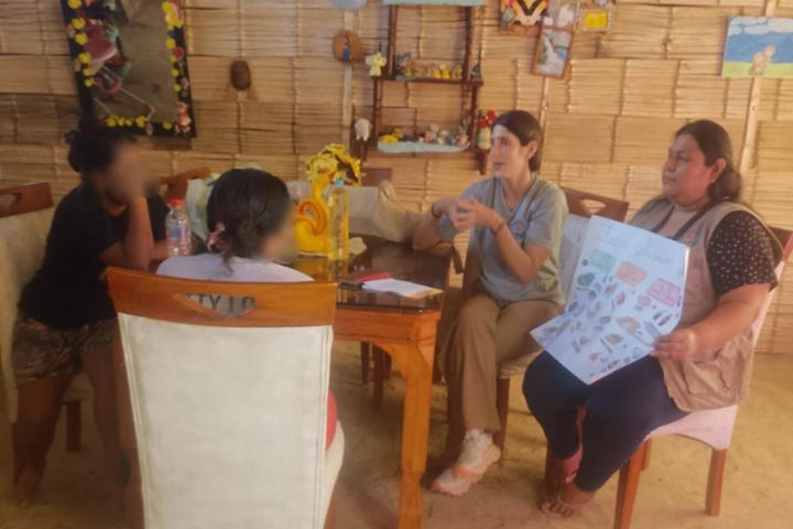 Imagen del proyecto 1