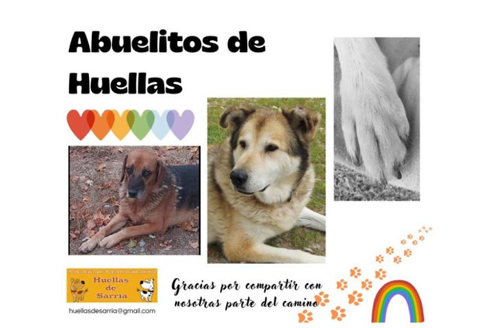 Imagen principal del proyecto