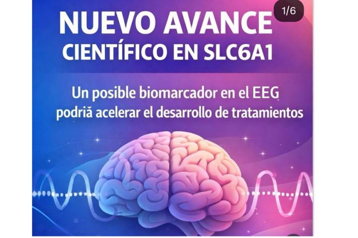 Imagen del proyecto 2