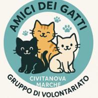 Amici dei gatti Civitanova Marche
