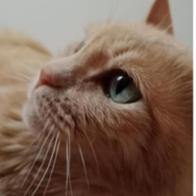 Eva Maria Navarro Jiménez