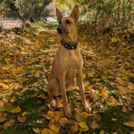 Alba Sanchez Serrano