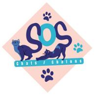 sos chats/chatons 59
