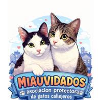 Miauvidados Asociación protectora