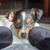 Sonia Jiménez Camarena