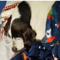 Emilia nancy Luna Luján