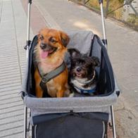 Magda Vasquez Gutierrez