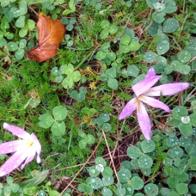 María fe Moya Anadón