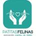 Asociación Patitas Felina Castell de Ferro