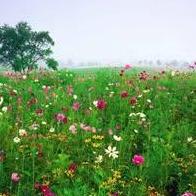 Mariló Tarari Tararu